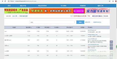 SEO站長綜合查詢工具 提升網站排名的利器